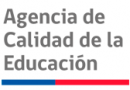 Informativos de Resultados Educativos – Proceso de Evaluación SIMCE 8º Año Básico 2019