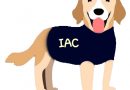 Campaña de Rescate Canino IAC